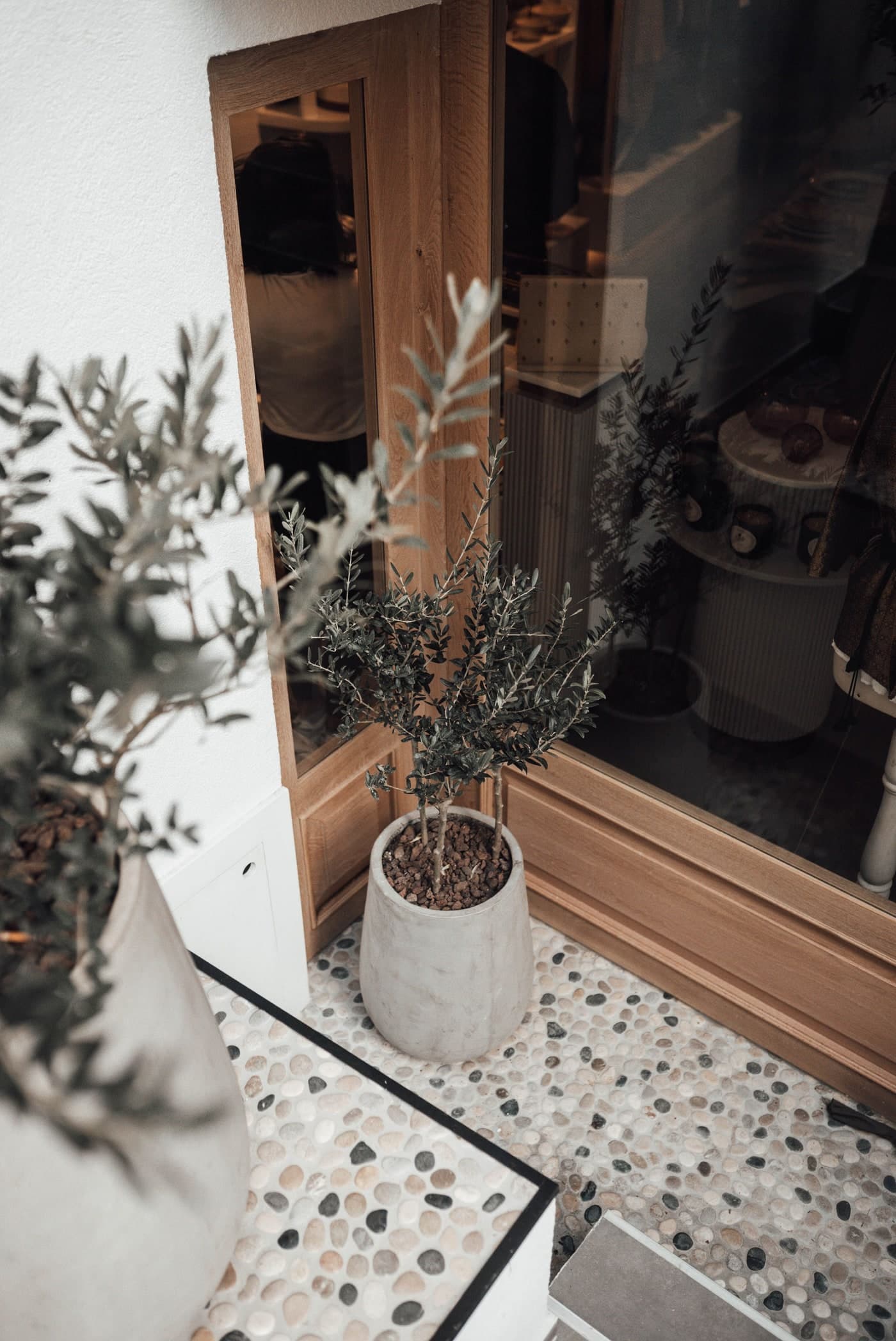 A pale rounded pot with a narrow-leaved plant stands beside timber-framed glazing on pebble-patterned paving, with another pot partly visible.