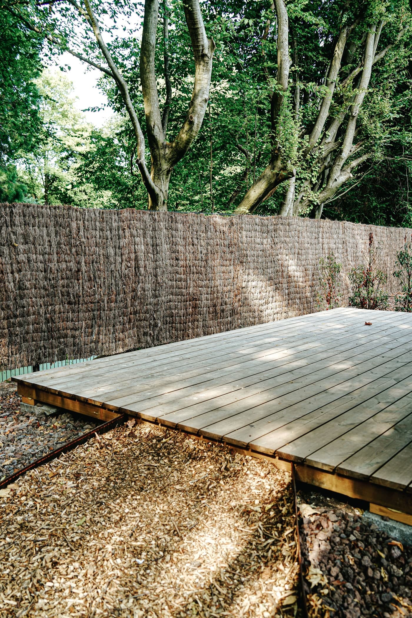 An empty timber deck sits beside a broad woven-looking screen, with tree trunks and canopy above.