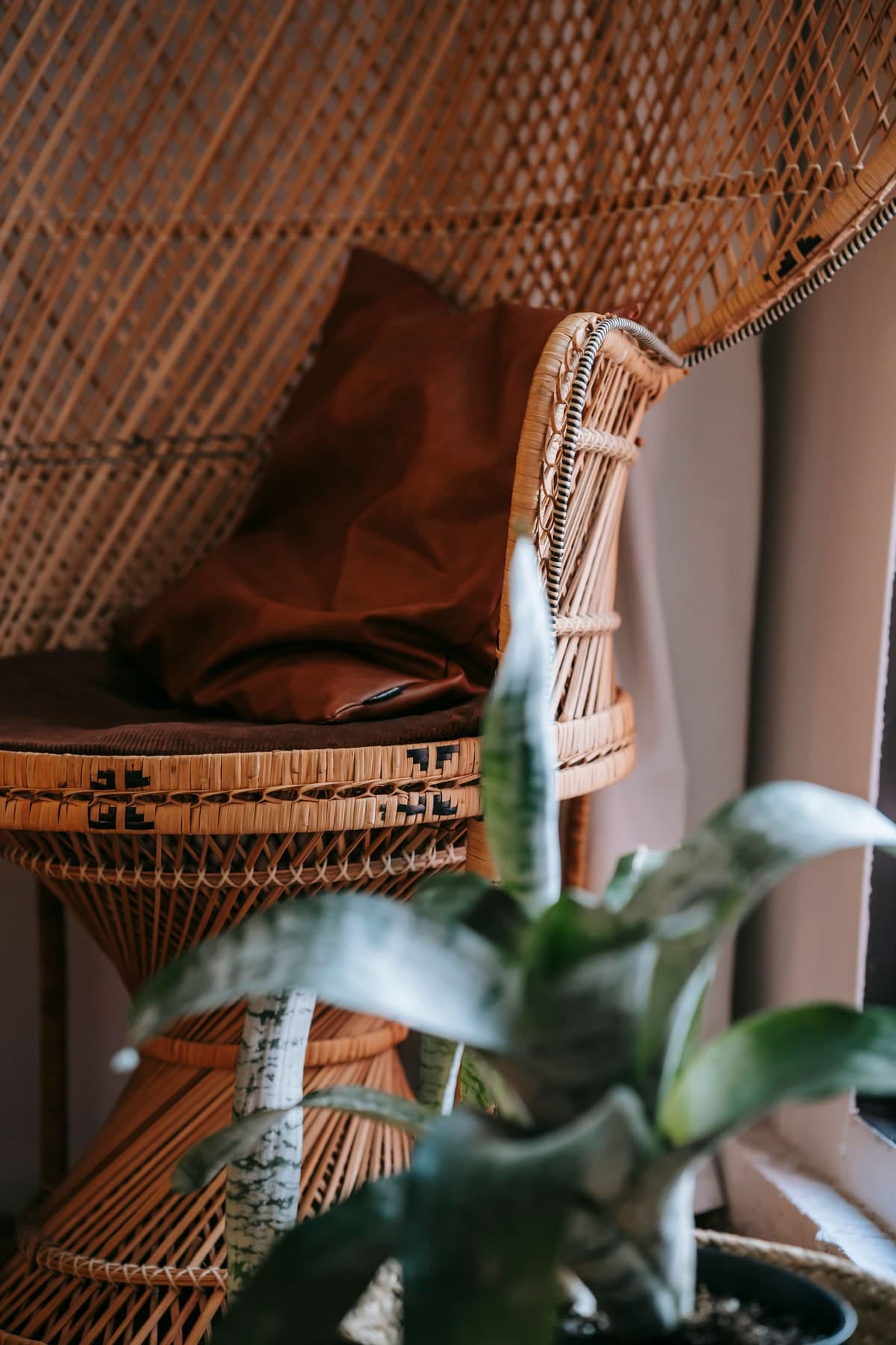 A close view of a woven rattan chair with a rust-coloured cushion, framed by green leaves.